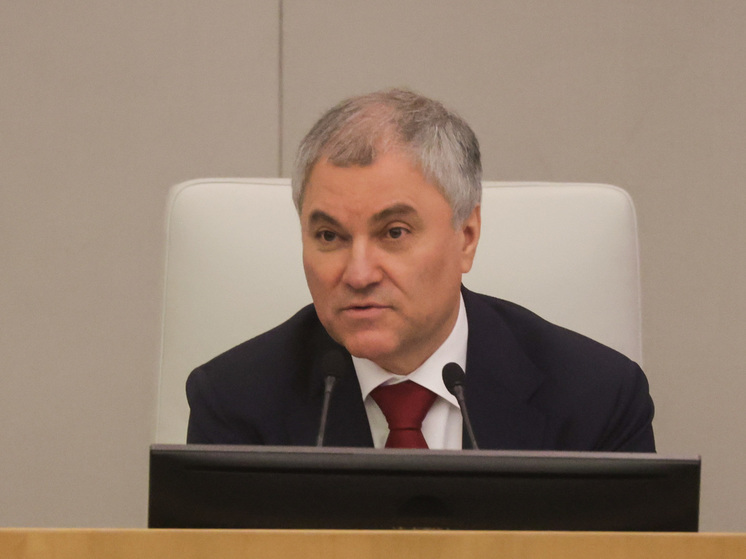 Володин: ГД РФ рассмотрит 28 законопроектов по миграционной политике