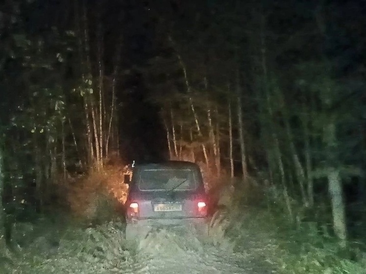 Рязанские волонтёры помогли вернуться домой трём заблудившимся грибникам