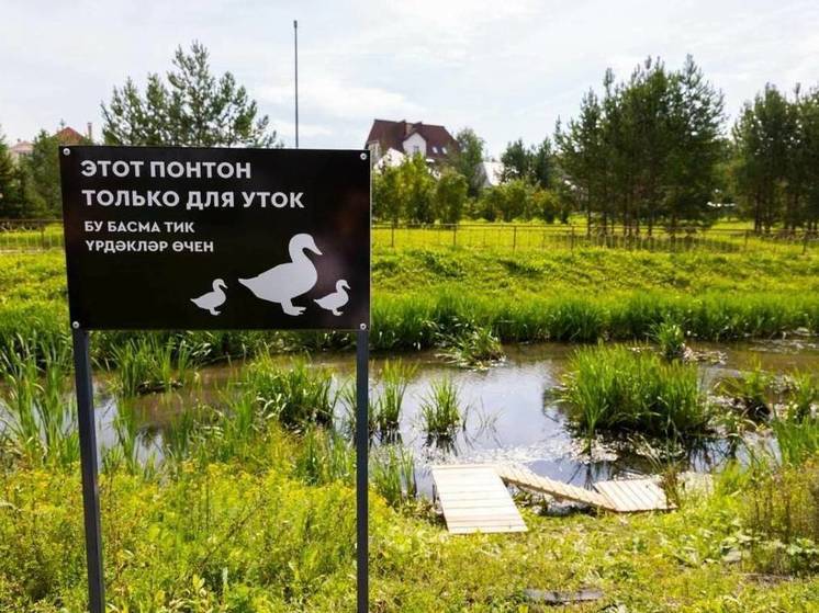 На Каскаде прудов Альметьевска поставили понтон для уток