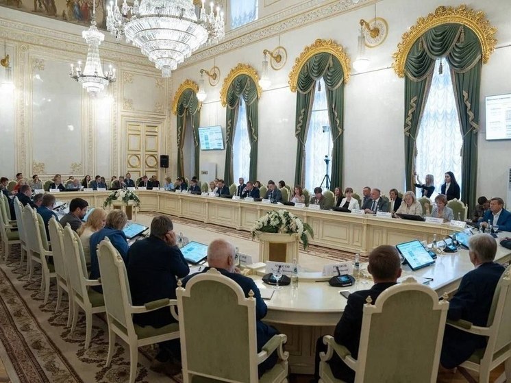 Херсонский депутат областной Думы принял участие в заседании петербургского ЗакСа