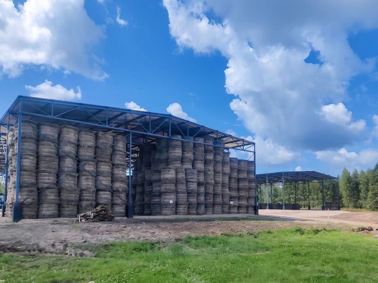 Василий Анохин: под Починком восстановят льнозавод