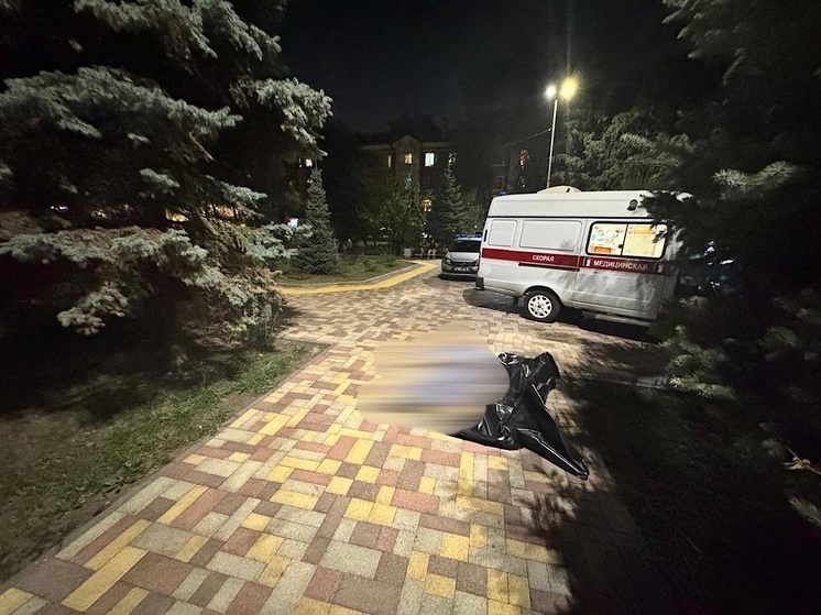 В Ростове местный житель зарезал своего товарища