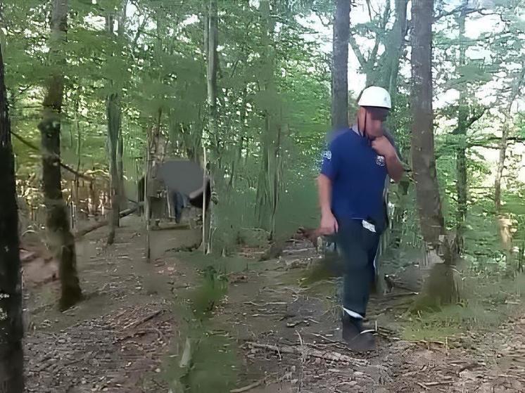 Туристы из Ростовской области застряли на горе в Туапсинском районе, им помогли спасатели