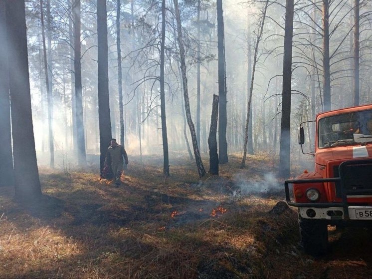 В Приангарье за сутки не было новых лесных пожаров