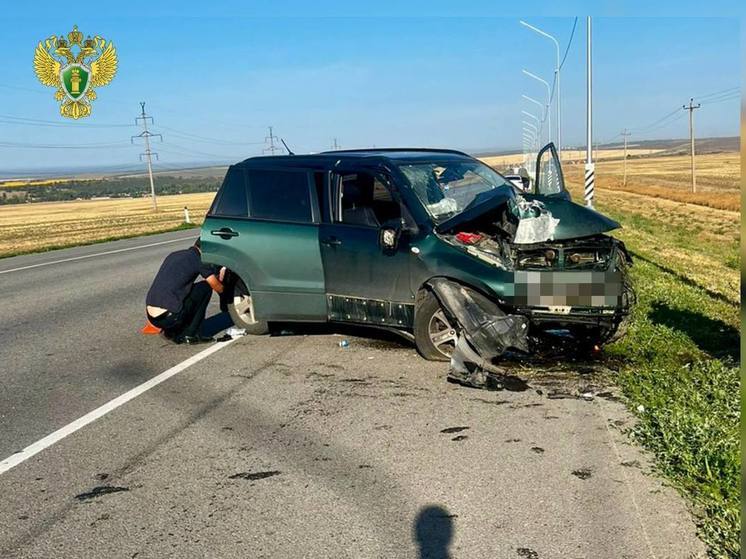 По факту ДТП с погибшими детьми в Ростовской области возбудили дело