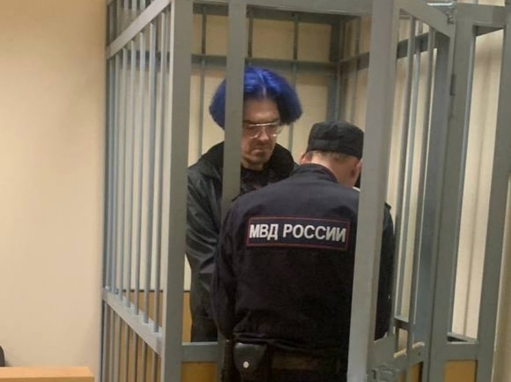 Нижегородского инцела Поднебесного отправили в СИЗО на 2 месяца