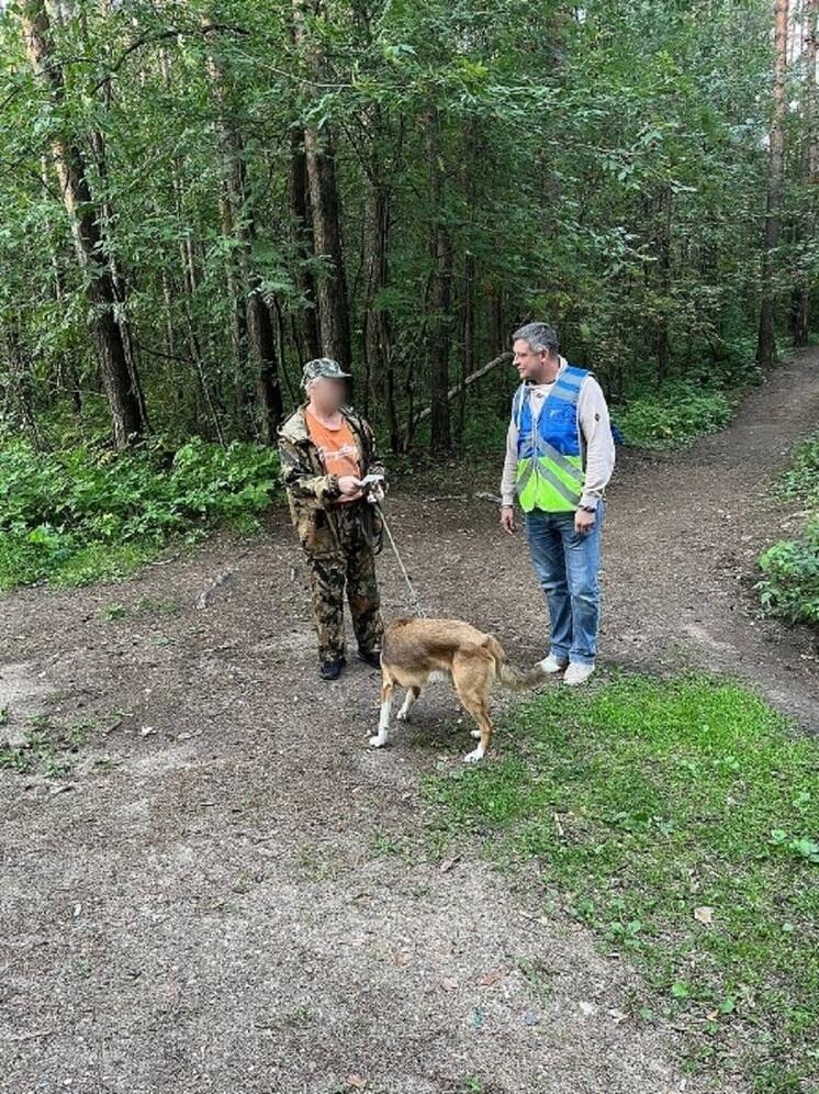 В Ярославле хозяева собак не понимают, за что им выписали штрафы