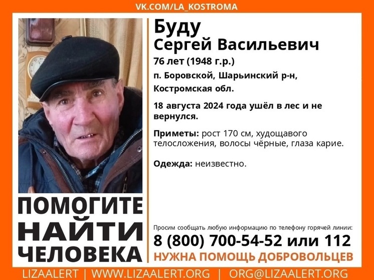 В Костромской области лесных "потеряшек" меньше не становится