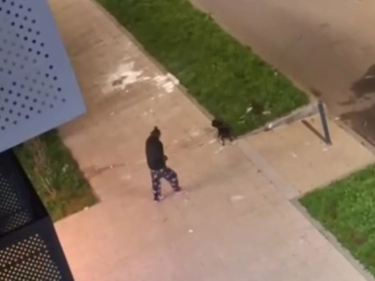 Неадекваты в Балашихе бросают из окон в прохожих опасные предметы