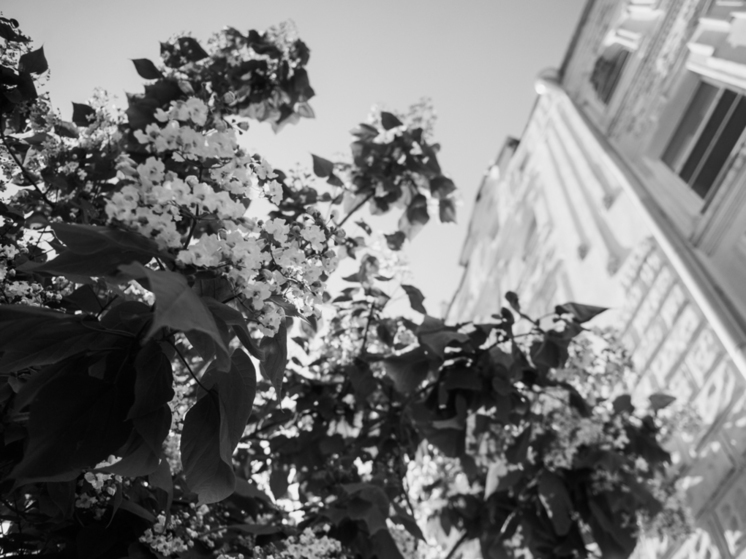 В астраханском магазине изъяли около 8 тысяч пачек сигарет без акцизов