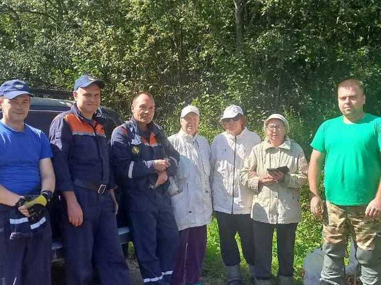 В Подмосковье вывели из леса новых заблудившихся грибников