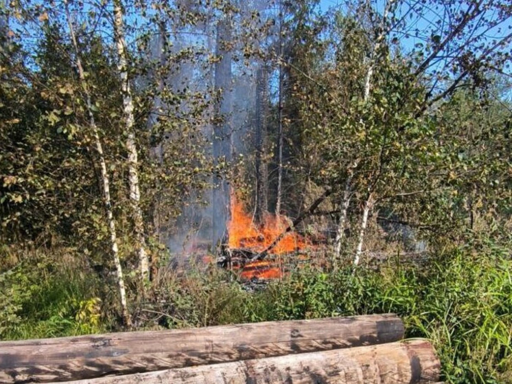 В городском округе Шатура вспыхнули 2 лесных пожара