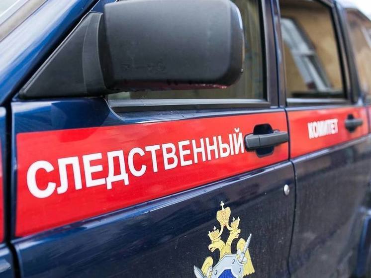 На Алтае супруги попались на махинациях с материнским капиталом