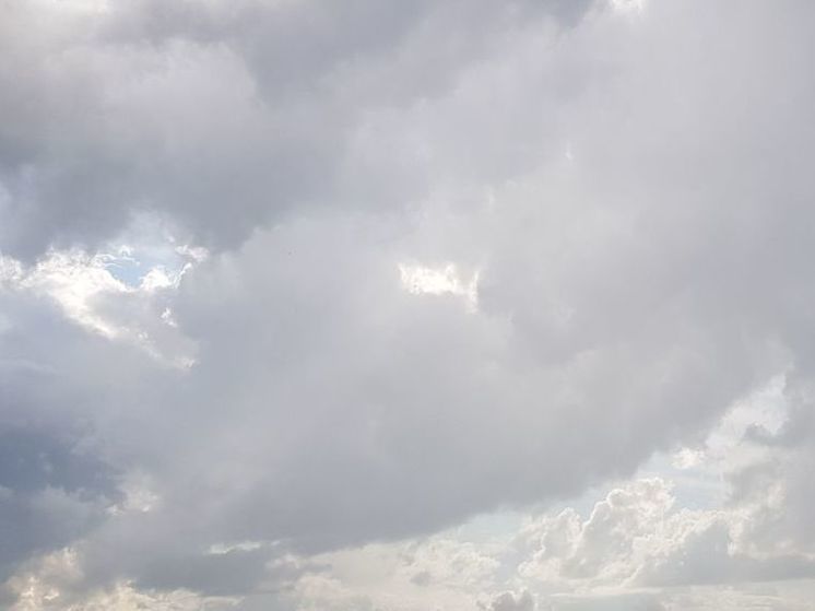 Последние дожди этого лета в Подмосковье ожидаются завтра