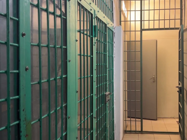 39 контейнеров с товаром украл сотрудник склада в Подмосковье