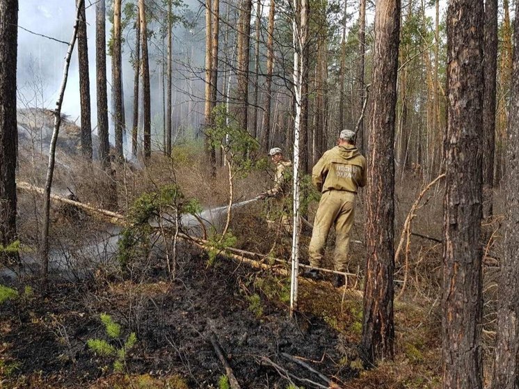  В Иркутской области ликвидировали 4 лесных пожара за сутки