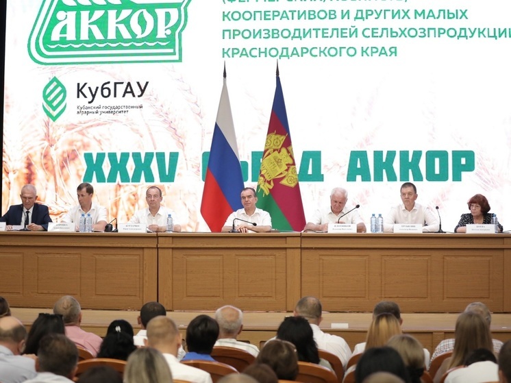 Вениамин Кондратьев: На Кубани работает свыше 13 тысяч фермеров