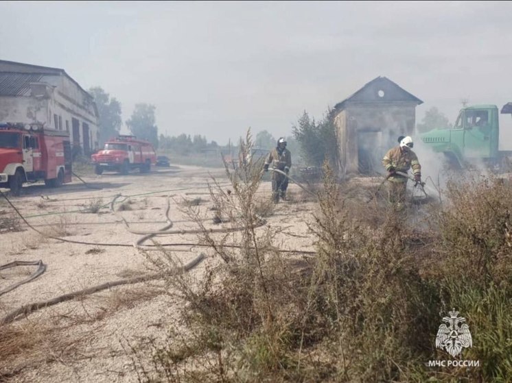 Пожар на деревообрабатывающем предприятии произошёл в Рязанской области