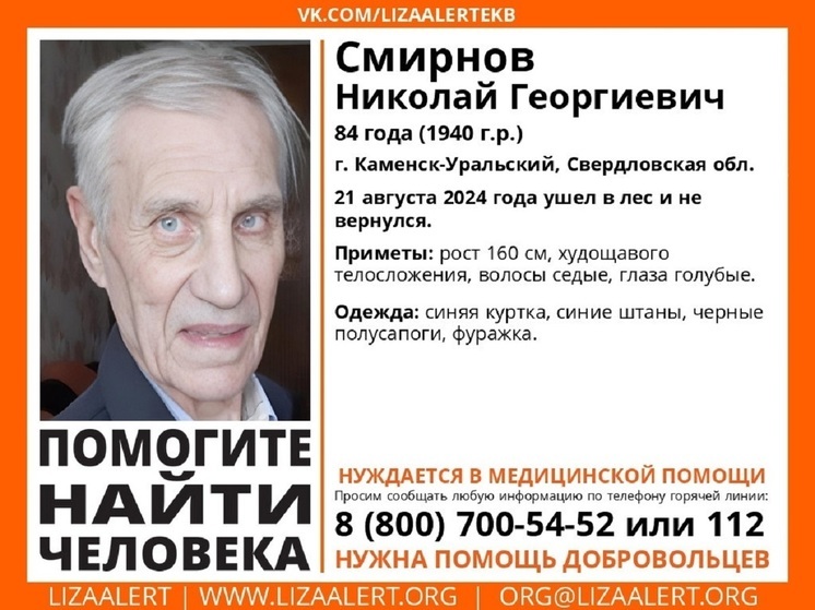 84-летний житель Каменска-Уральского ушел за грибами и пропал