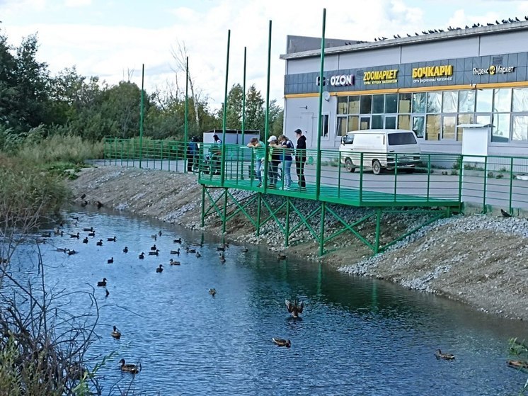 В Новосибирске активисты обустроили пруд с утками и ондатрой