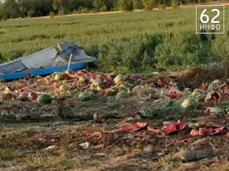 Грузовик с арбузами столкнулся с легковушкой на трассе в Рязанской области