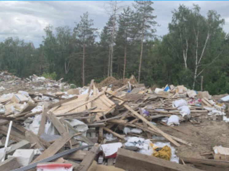 На территории Смоленской области за 7 месяцев 2024 года региональный оператор АО «Спецавтохозяство» ликвидировал 112 мест несанкционированного размещения твердых коммунальных отходов