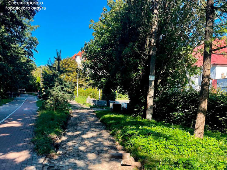 В Светлогорске с будущего года собираются вводить туристический налог