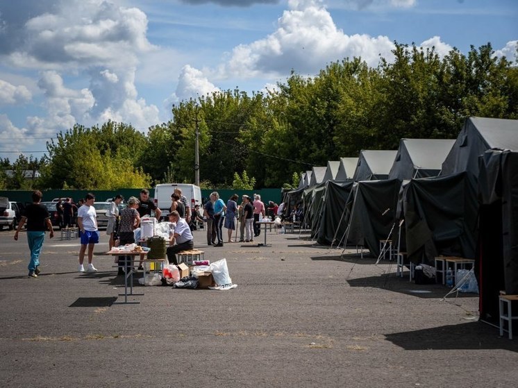 В Курской области более 133 тысяч человек покинули свои дома на опасных территориях