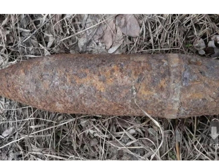 Найдены и обезврежены взрывоопасные предметы времён Великой Отечественной войны