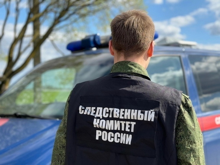 Салехардец помог замести следы убийства и украл телефон убитого