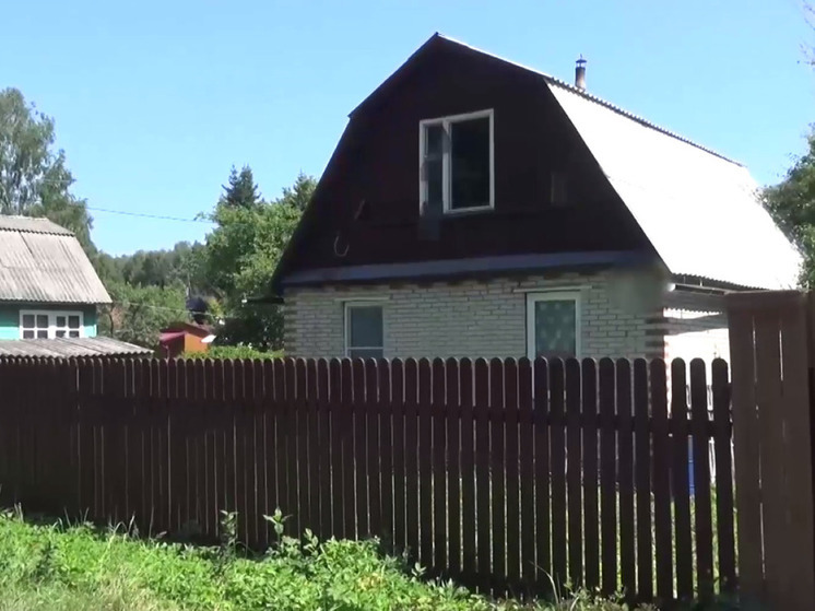 Крупную партию наркотиков изъяли силовики в Подмосковье