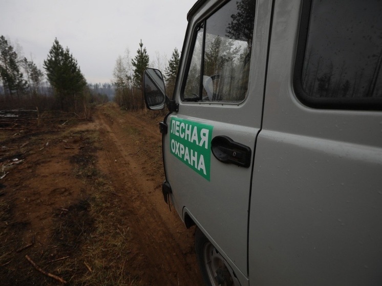 В Иркутской области за сутки потушили два лесных пожара