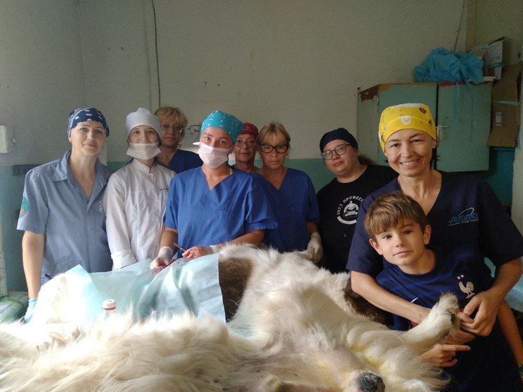 В Бурятии работают ветврачи немецкого фонда «Tierschutz.Entwick-lungshilfe.ev»