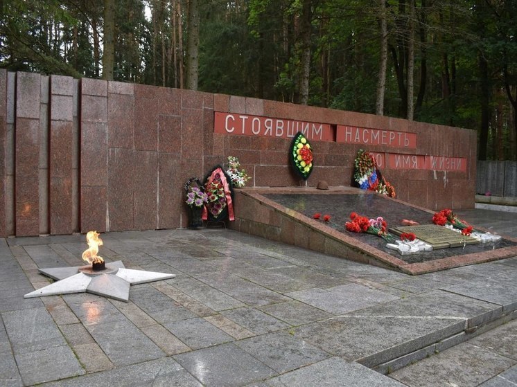 В Тверской области перезахоронят останки советских бойцов, которые поисковики нашли под Зубцовом