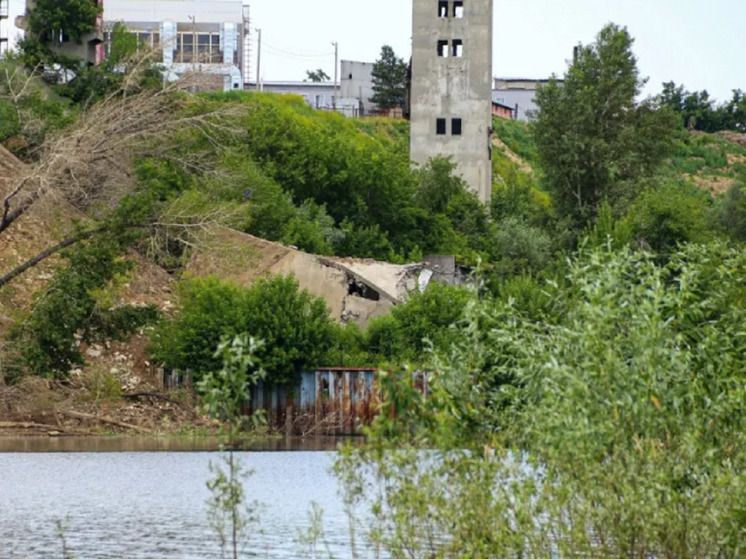 В Барнауле привлекли директора элеватора за падение башни в Обь