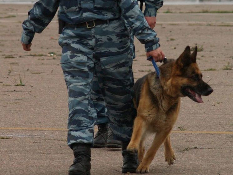 За минувшие сутки в Подмосковье 11 раз сообщили о заминировании