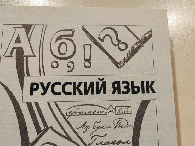 Мигрантов с сертификатами вуза, но без знания русского языка нашли в Чите