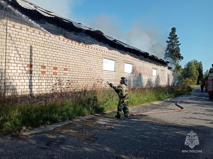 Во Владимирской области сгорела овощебаза