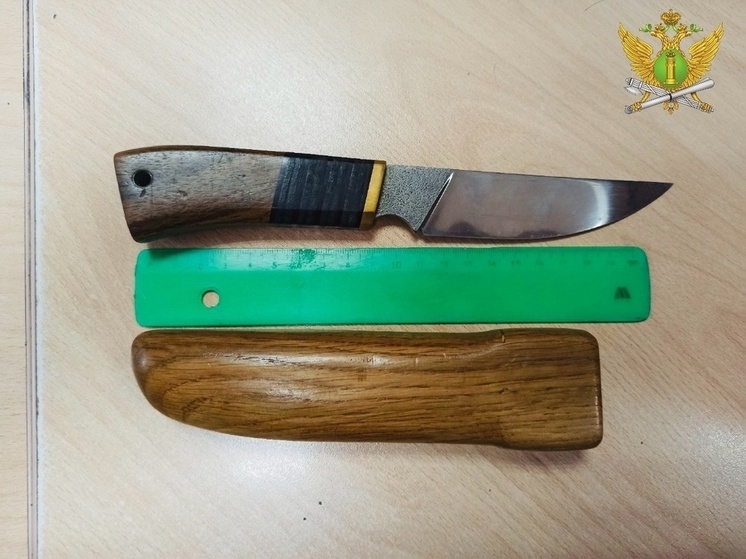 В Туле мужчина пытался пронести в суд нож