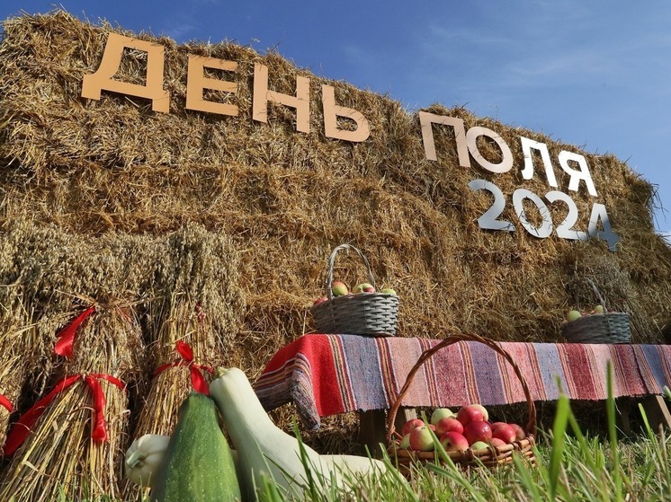 Агропромышленная выставка «День поля – 2024» стартовала в Вологодской области