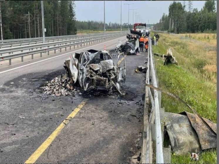 Четыре человека погибли в массовом ДТП на трассе М-11