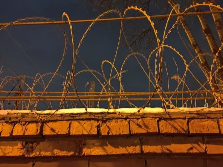 Жителя Черняховска отправили на 4 года в колонию за кражу и угрозы полицейскому