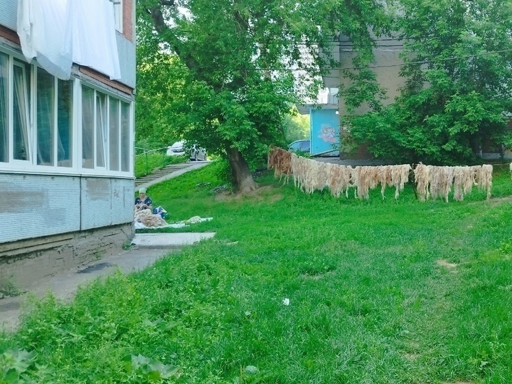 В Новосибирске мигранты выращивают баранов в военном городке на Хилокской