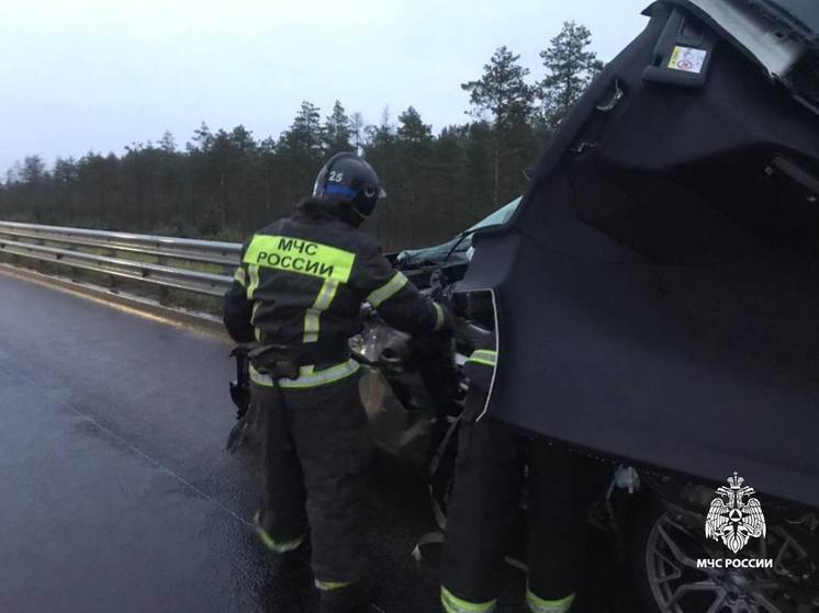 Сорвало крышу: появились новые фотографии с места гибели водителя BMW в Тверской области