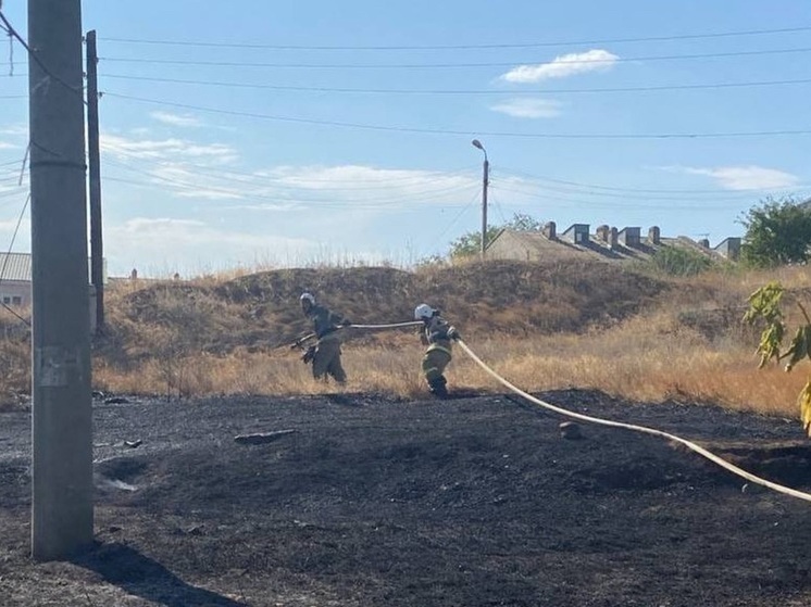 В Элисте горела сухая трава