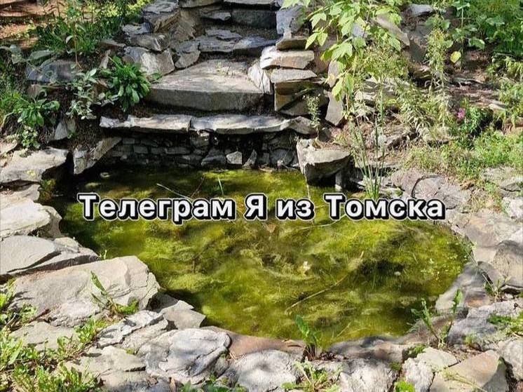 Жители Томска жалуются на грязный сквер