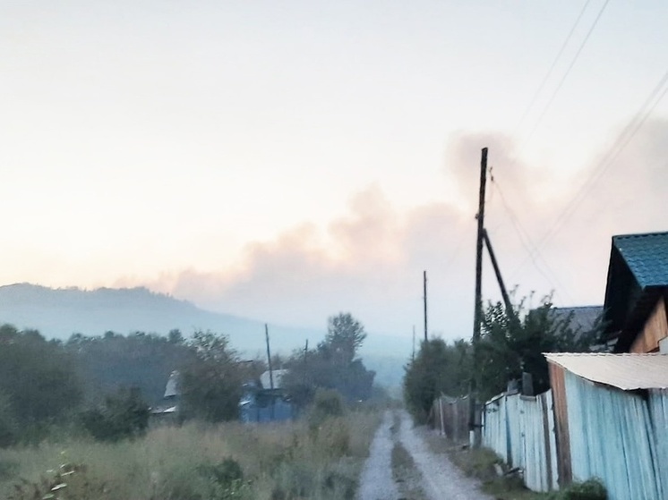 Умышленные поджоги леса выявили в Балее