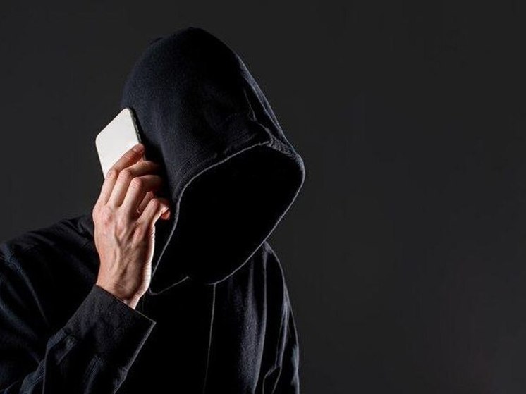 Педагог из Воронежа перевела мошенникам почти 4 миллиона рублей