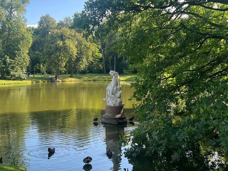 Синоптик Леус: в Петербурге будет тепло и солнечно, но ветрено