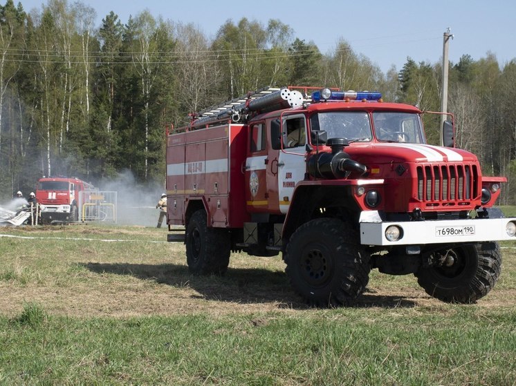Спасатели напомнили, как возникают лесные пожары в августе